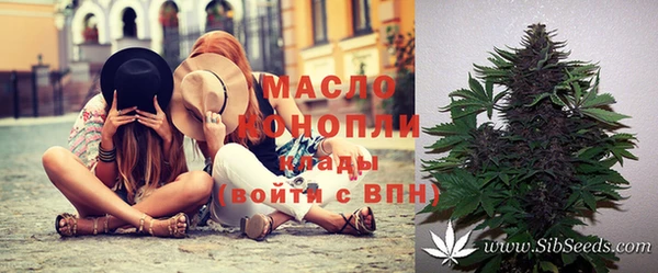 метадон Алексин
