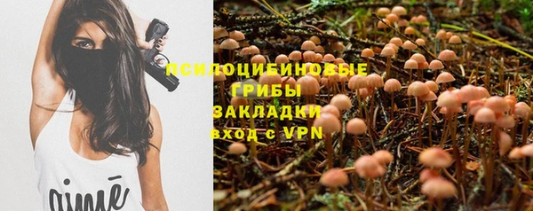 метадон Алексин