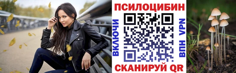 Псилоцибиновые грибы мицелий  цены наркотик  Кольчугино 