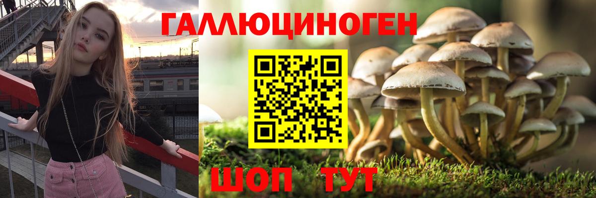 Кольчугино  Галлюциногенные грибы MAGIC MUSHROOMS  Вход с VPN 